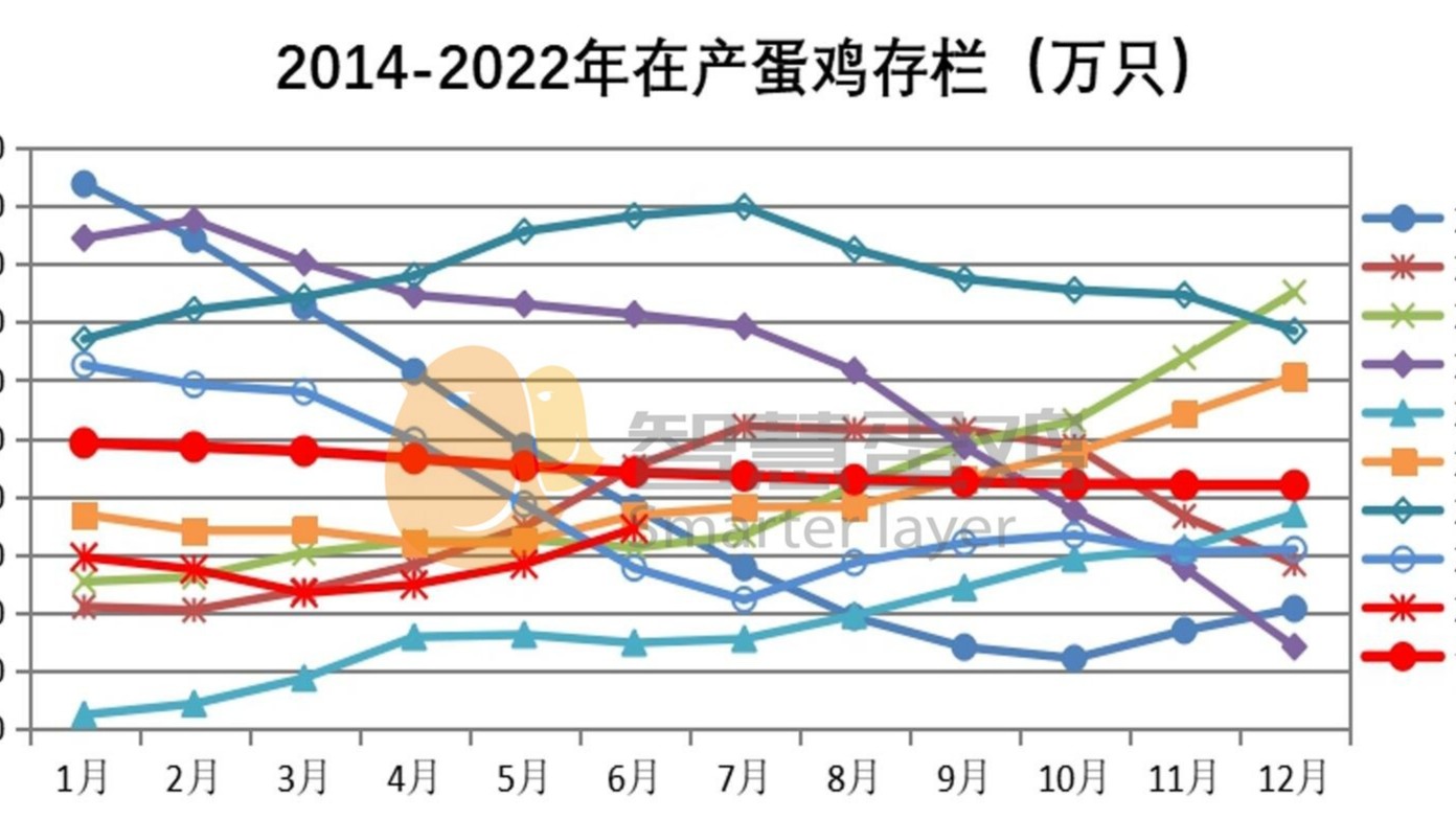 2022上半年我国蛋鸡市场分析及后市预测