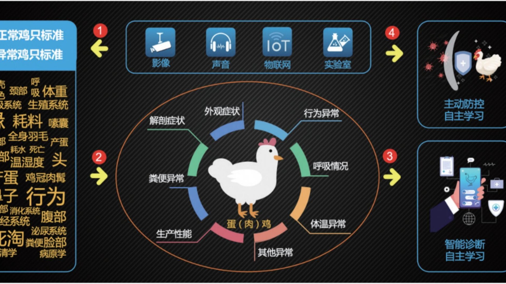 中国特色规模蛋鸡养殖家禽兽医发展方向