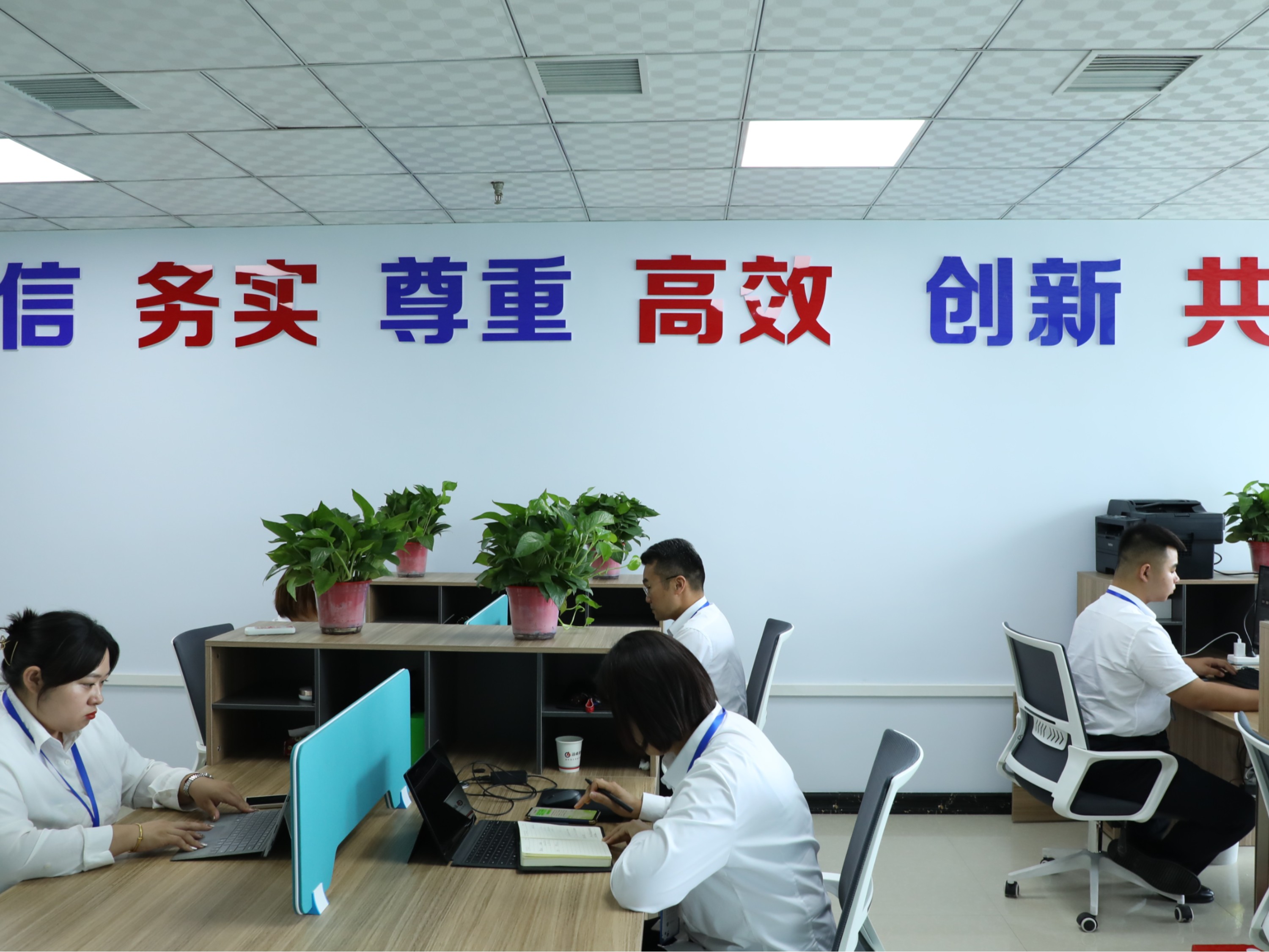 远卓风采