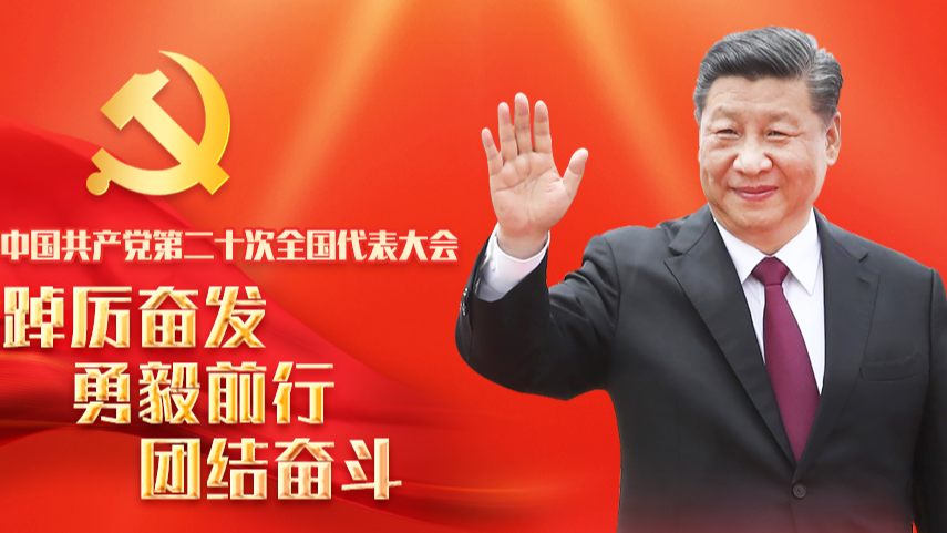 从1到9，学习党的二十大报告