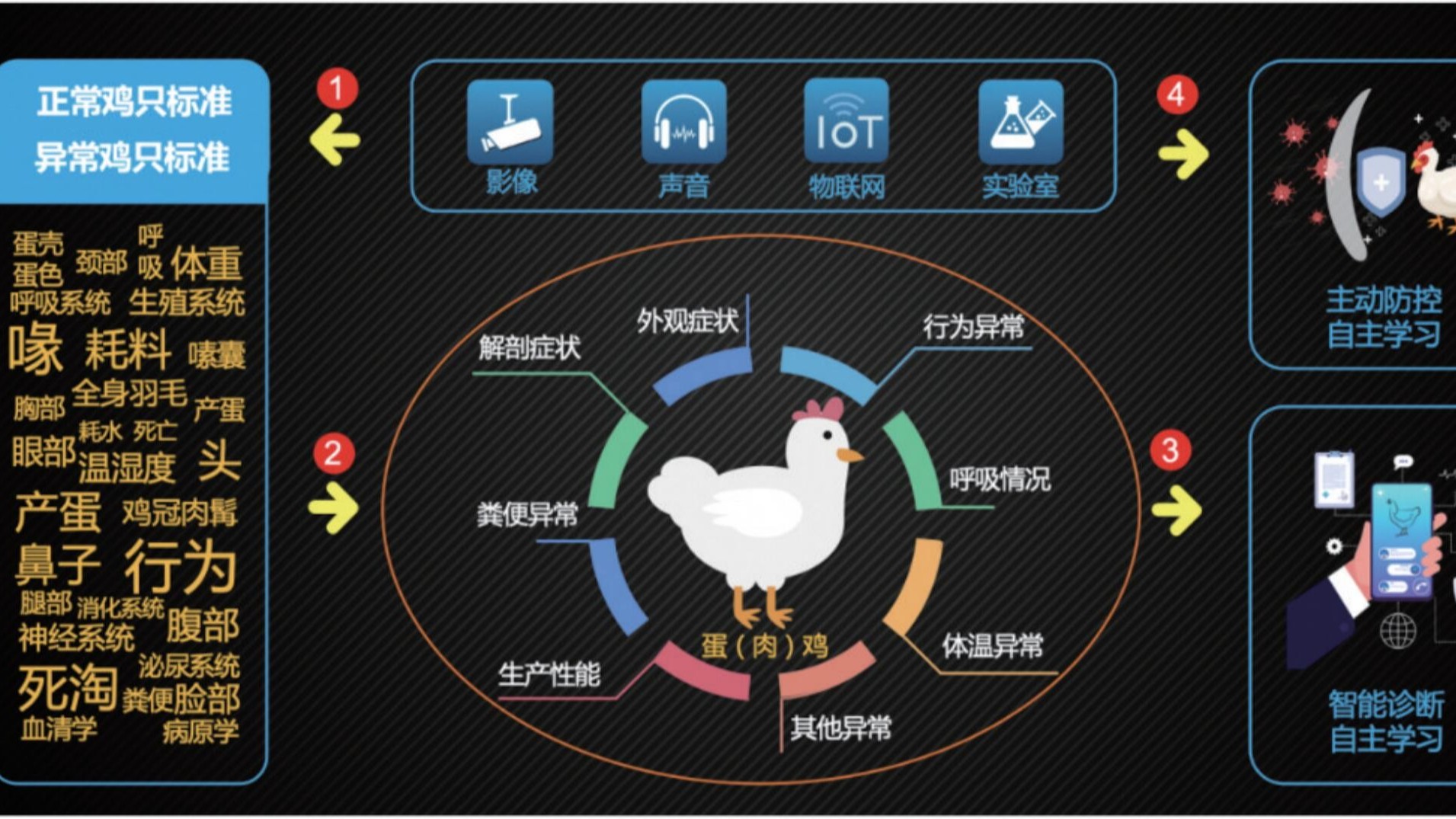 规模蛋鸡养殖场冬春换季，如何防止蛋鸡产蛋率下滑？