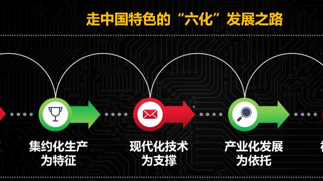 精准农业可以改善家禽养殖