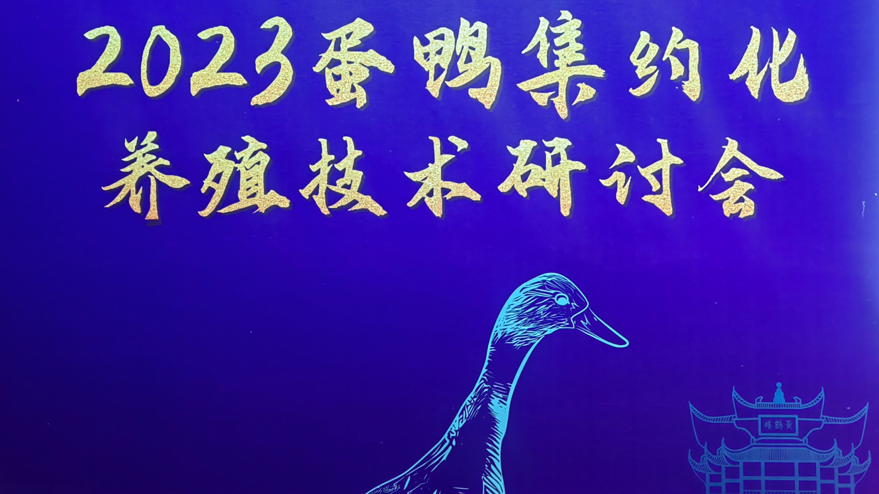 共谋蛋鸭养殖，助力产业升级！2023蛋鸭集约化养殖技术研讨会在湖北武汉举行