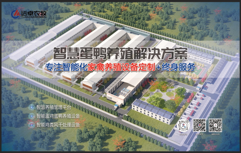 d396e4c245de40759f4f0587068afff3_11_看图王.jpg