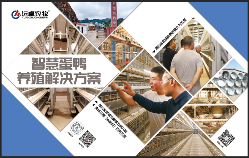 d396e4c245de40759f4f0587068afff3_9_看图王.jpg